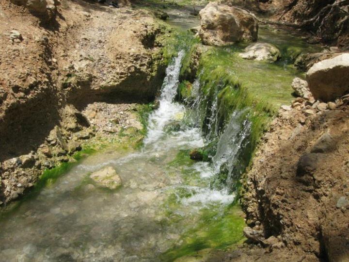 Апартаменты Neve Zohar Dead Sea Экстерьер фото